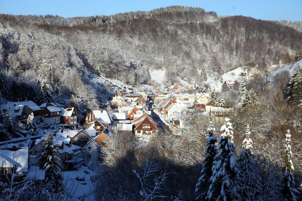 Fewo-Lerbachtal Osterode am Harz Eksteriør bilde
