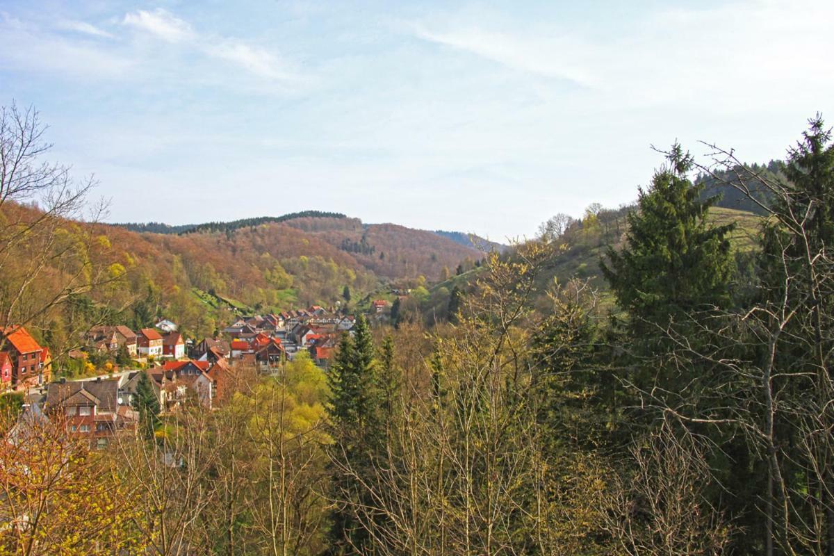 Fewo-Lerbachtal Osterode am Harz Eksteriør bilde