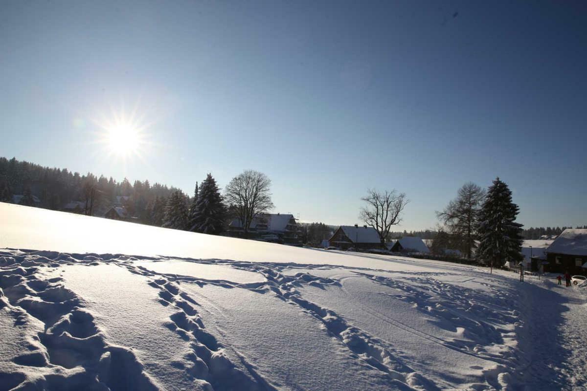 Fewo-Lerbachtal Osterode am Harz Eksteriør bilde